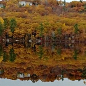 Meet your Posher, Audrey